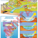 A vízszennyezés forrásai és következményei